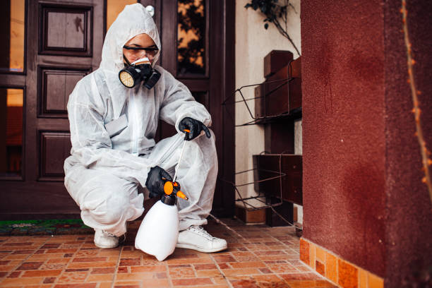 Attic and Crawl Space Rodent Treatment in Crimora