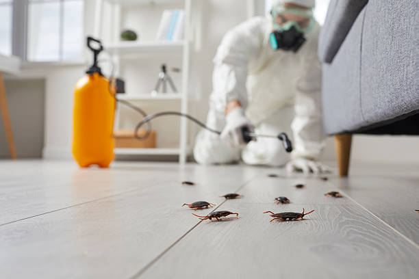 Commercial Rodent Management in Crimora